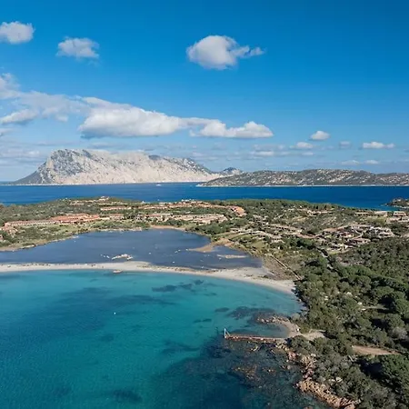 Karex Capo Coda Cavallo