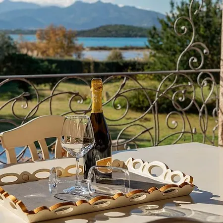 Karex Willa Capo Coda Cavallo